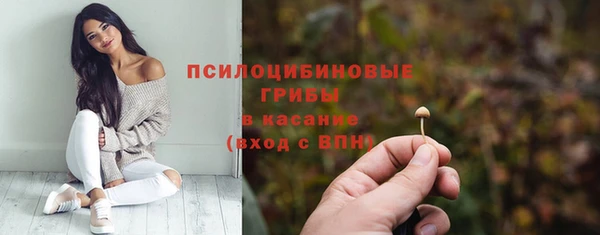 мет Снежинск