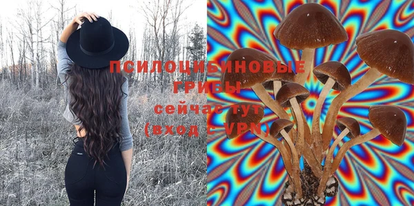 соль ск Алексин