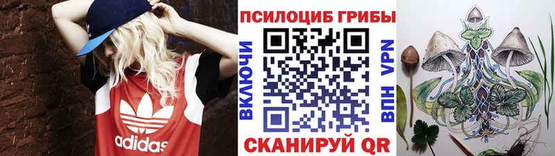 закладки  Лахденпохья  Псилоцибиновые грибы мухоморы 